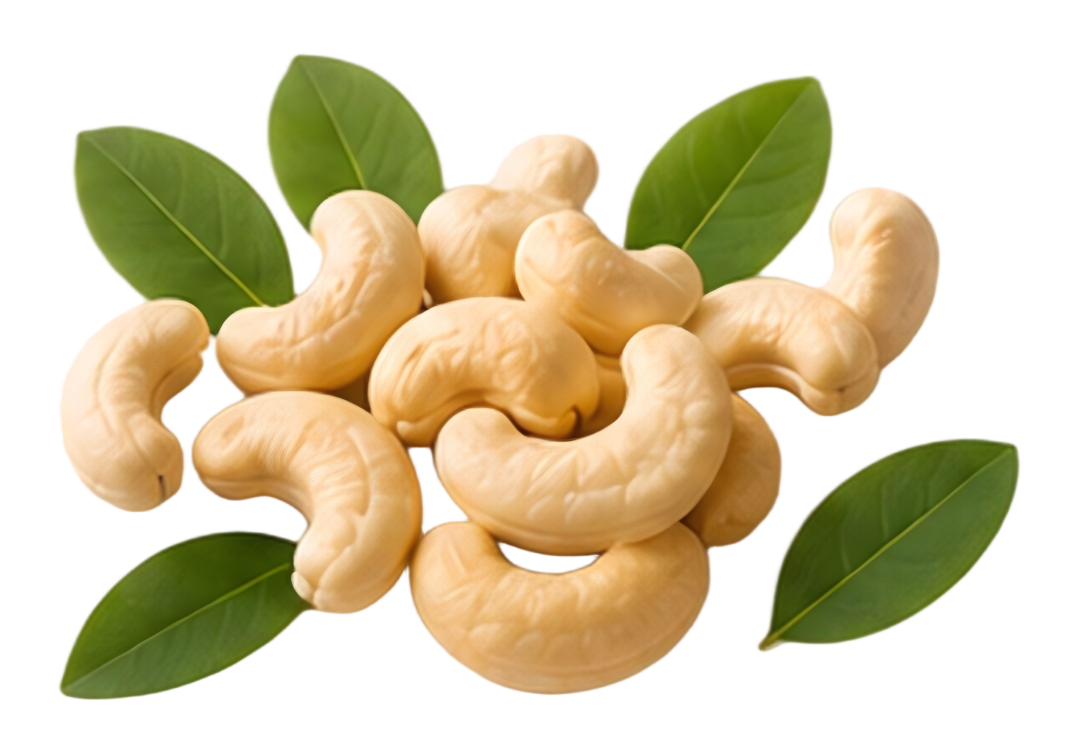 বিশেষ অফারের কাজু বাদাম